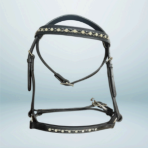 Walf Exports Leather Bridle With Leather/Web Reins