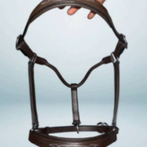 Walf Exports Leather Padded Halter With Leaf Stitching