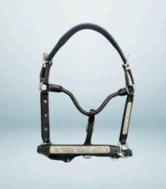 Walf Exports Leather Show Halter