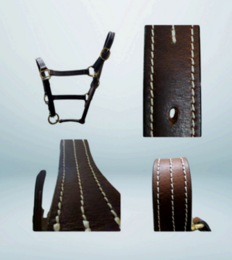 Walf Exports Leather Show Halter