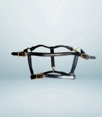 Walf Exports Leather Halter With Brass Fitting