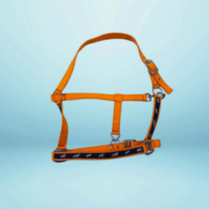 Walf Exports PP Halter With Horse Ribbon