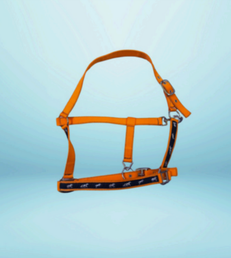 Walf Exports PP Halter With Horse Ribbon