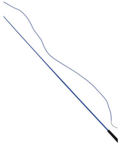 Walf Exports Laughing Whip