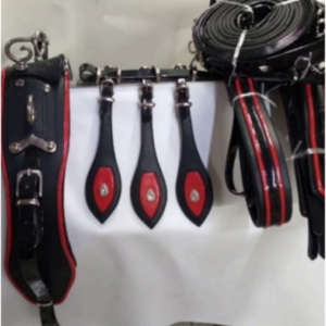 Walf Exports Biothene/Leather Harness Set