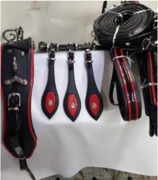 Walf Exports Biothene/Leather Harness Set