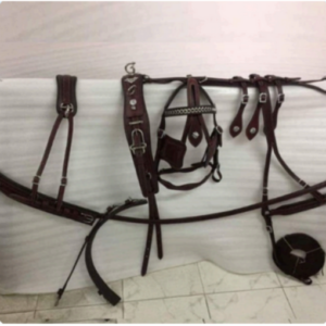 Walf Exports Leather Harness Set
