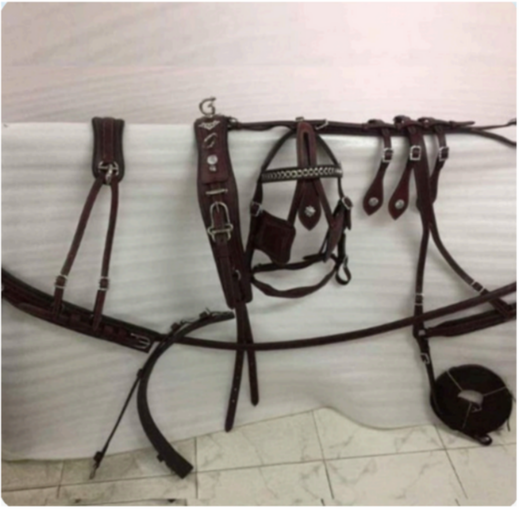 Walf Exports Leather Harness Set