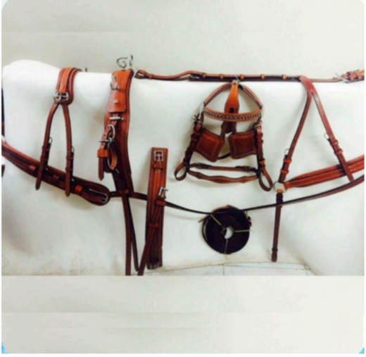 Walf Exports Oil Pull-Up Leather Harness Set