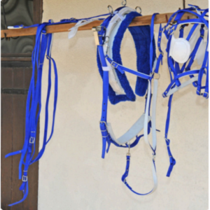 Walf Exports Web With Fur Harness Set