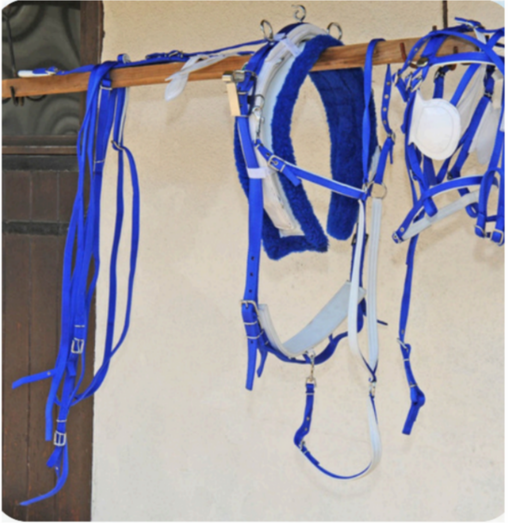 Walf Exports Web With Fur Harness Set