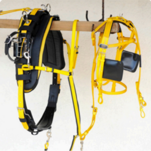 Walf Exports Biothene With Web Harness Set