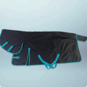 Walf Exports 600D Polyester 250G Fill Combo Rug Light Blue Binding