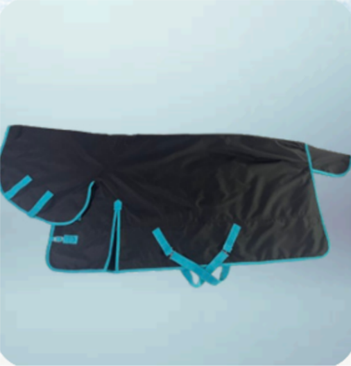 Walf Exports 600D Polyester 250G Fill Combo Rug Light Blue Binding