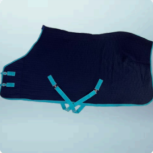 Walf Exports Thermotex Rug Light Blue Binding