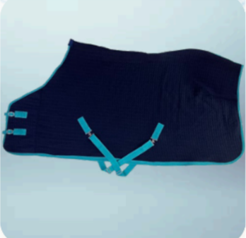 Walf Exports Thermotex Rug Light Blue Binding